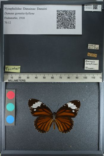 Media type: image;   Entomology 165812